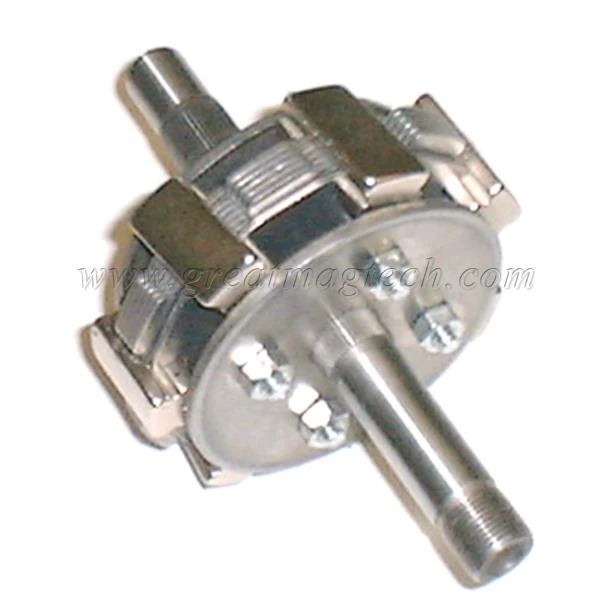 Magnetic Rotor